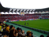 REDSサポ