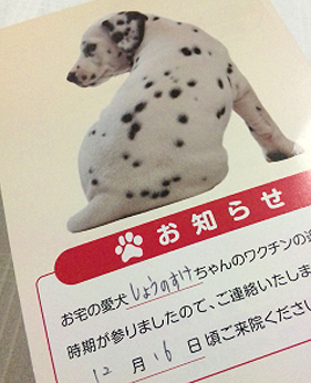 ハガキ