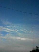 車内からの空