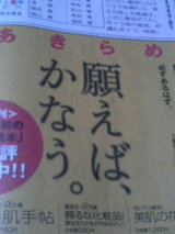 284c8614.JPG