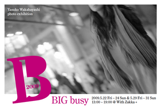 big_busy_2009_dm