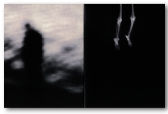 Infestation_5