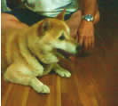 daichi_7