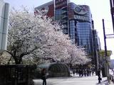 銀座4丁目 交差点