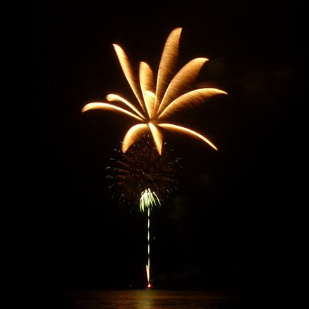firework04