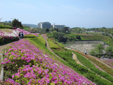 国際村01