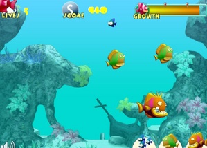 fish