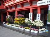 aDSCF2940