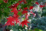 DSCF2837