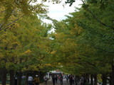 aDSCF2587