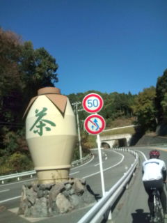 70a54b8a.jpg