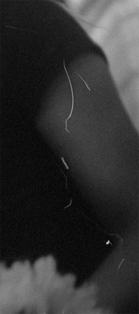 neg_scar