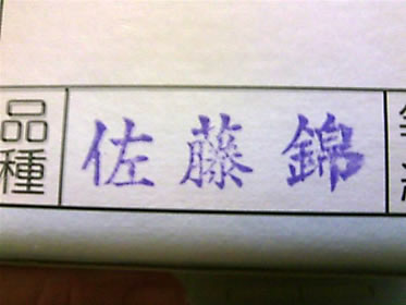 山形産さくらんぼの佐藤錦