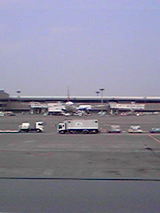 86cdd05e.jpg