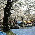 050410-124620.jpg