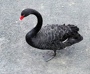 3766