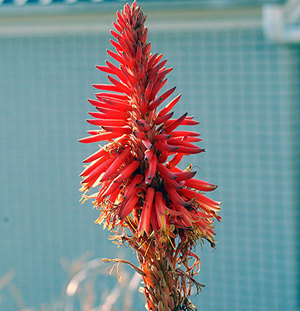 1676