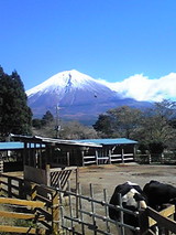 793a06fd.jpg