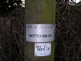 PICT35402