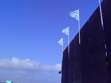 6442236d.jpg