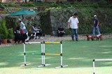 080506a