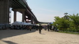 nanohana