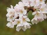 67b11864.jpg