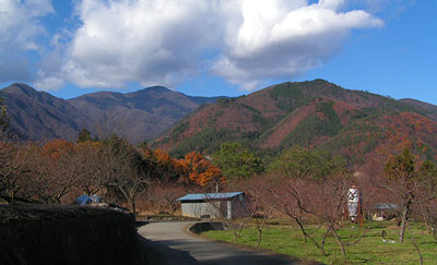 秋の風景