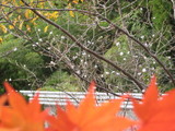 IMG_5957