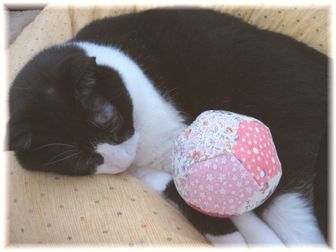 ナオミとペンタゴンボール