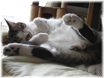 2007.5.19 スージー大股開き!