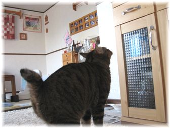2007.6.24���ҥ祤��