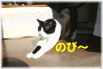 �Τӡ������ʥ���