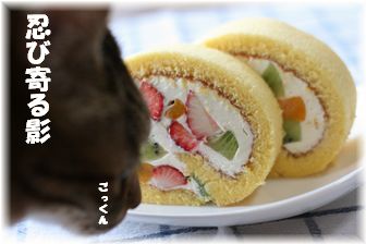 忍び寄る影は・・・