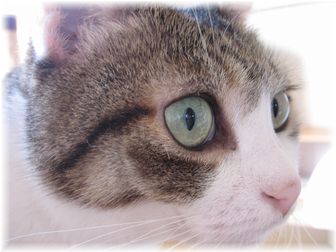 9.16 スーちゃんドアップ!