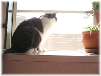 2007.2.18���������