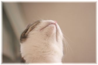 ん~~・・・スーちゃん