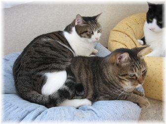 2007.5.7 タロウ&スーちゃん
