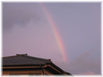 虹