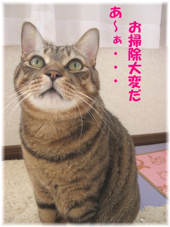 手伝ってくれる?
