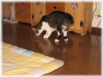 スージーねずみを・・・?