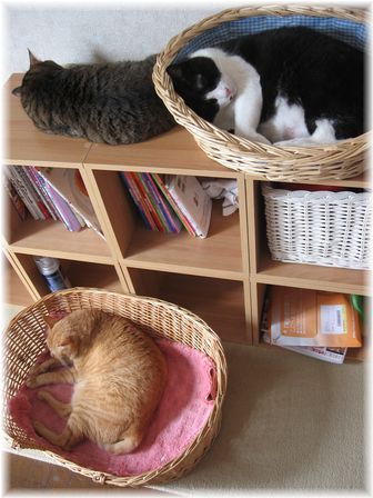 2007.7.29 寝るに限る
