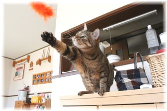 もうちょっと~!ドリル