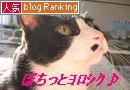 ナオミ バナー2