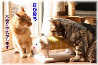 不穏な雰囲気が・・・
