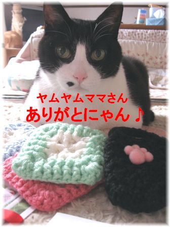 プレゼント ありがとにゃん
