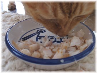 たらを食べるボムボム