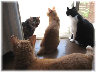 2007.6.17 晴れた日のみんな