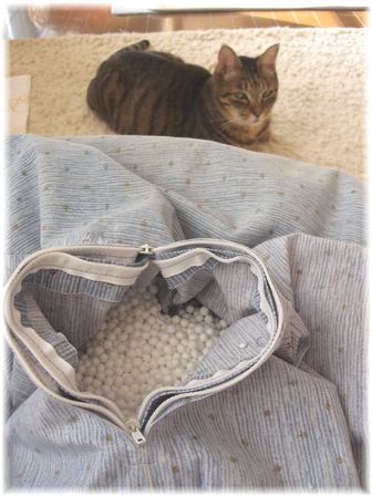 やめがほうがいいかもよ。タロウ