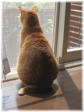 2007.6.1 ボムボム